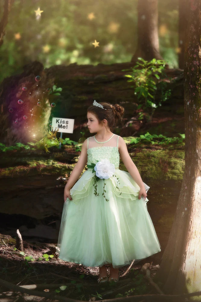Princess Costume for Girls – Mint Green Frog Princess Gown & Belt Set