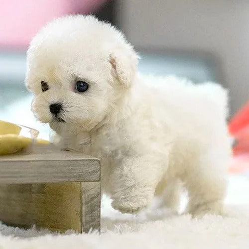 Realistic Interactive Plush Puppy Toy 0
