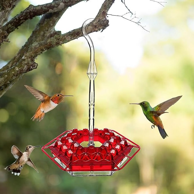 Ant Proof Hummingbird Feeder Outdoor Hanging Perch 0