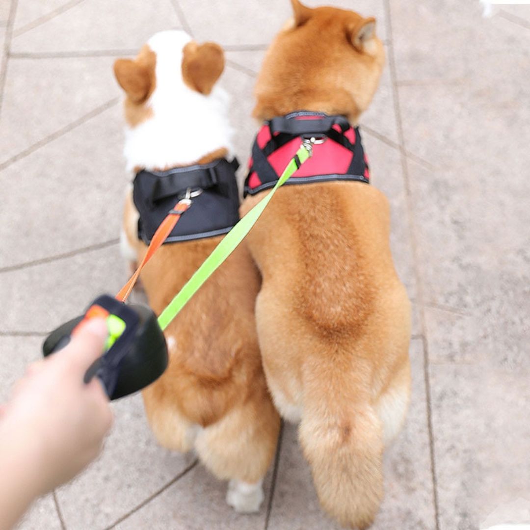 Anti-Tangle Double Dog Leash 2
