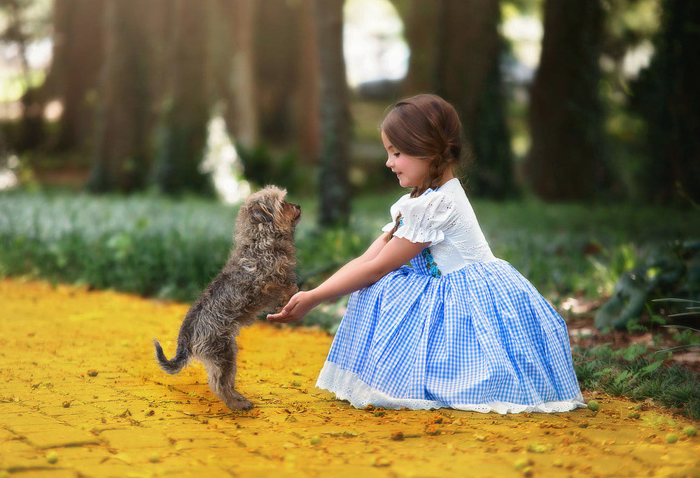 DOROTHY COSTUME 4