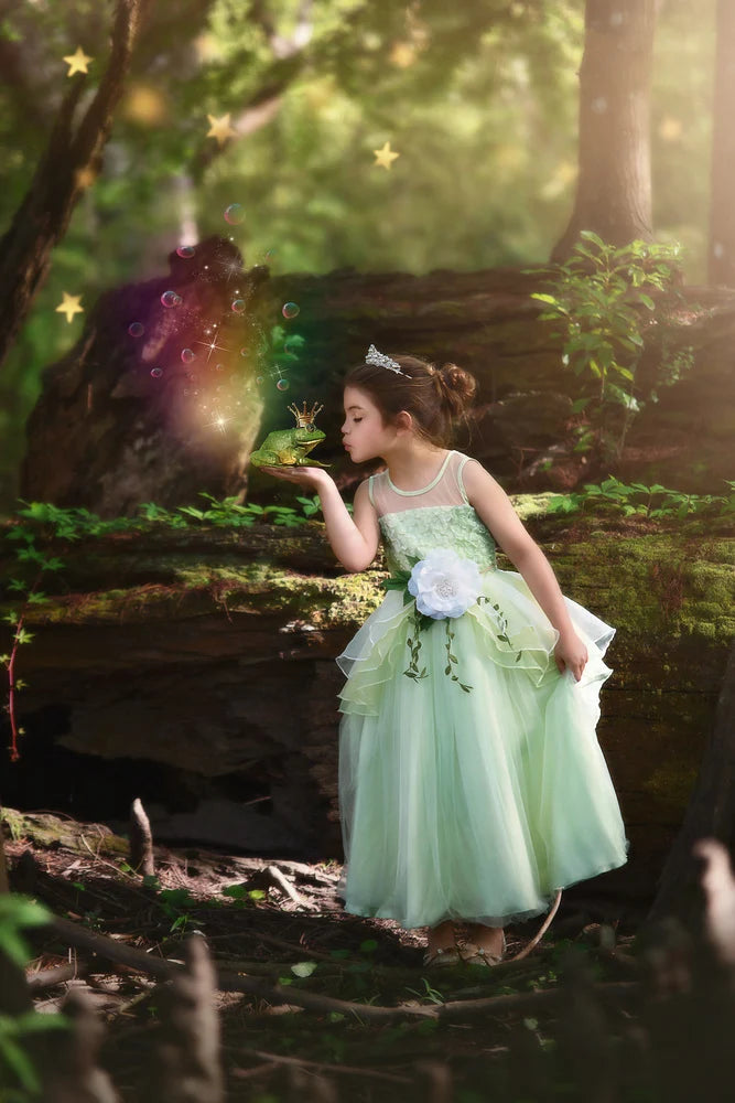 Princess Costume for Girls – Mint Green Frog Princess Gown & Belt Set