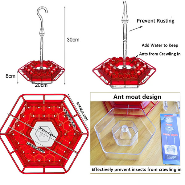 Hummingbird Feeder With Built-In Ant Moat 4