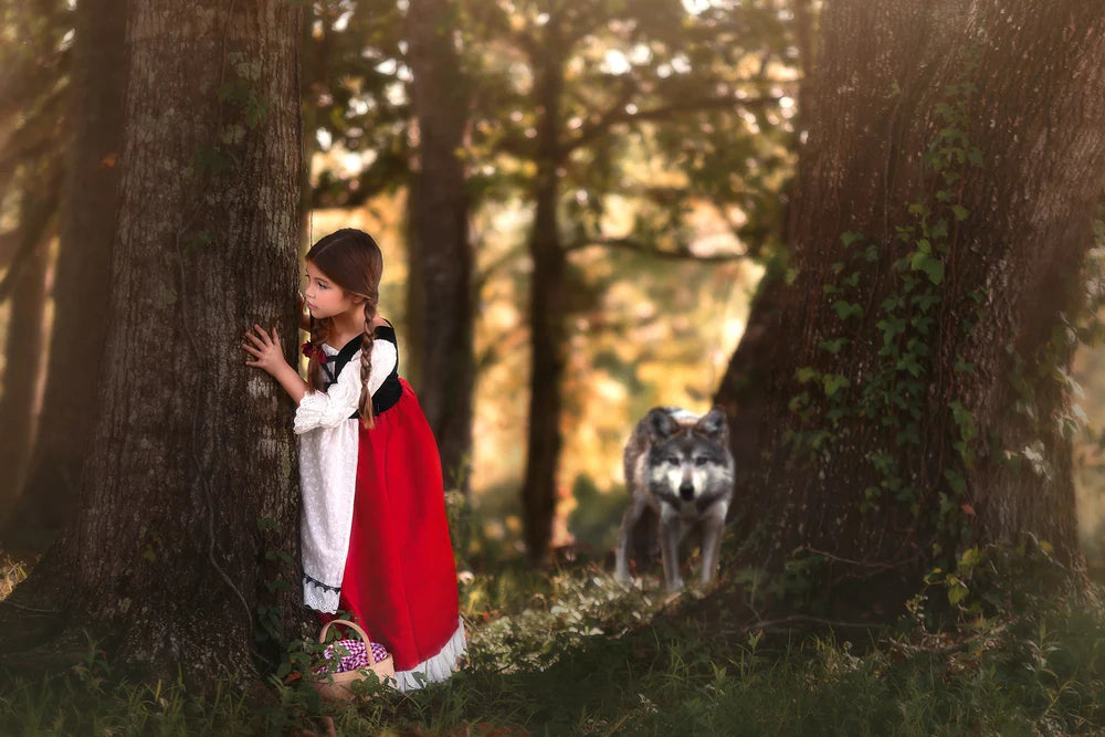 Little Red Riding Hood Costume for Girls – Luxe Dress & Cape Set